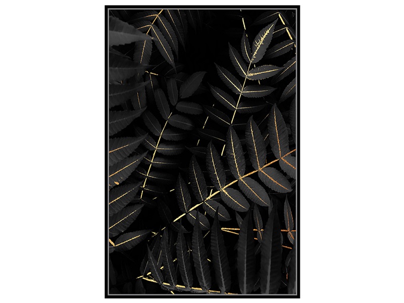 Obraz BLACK LEAVES