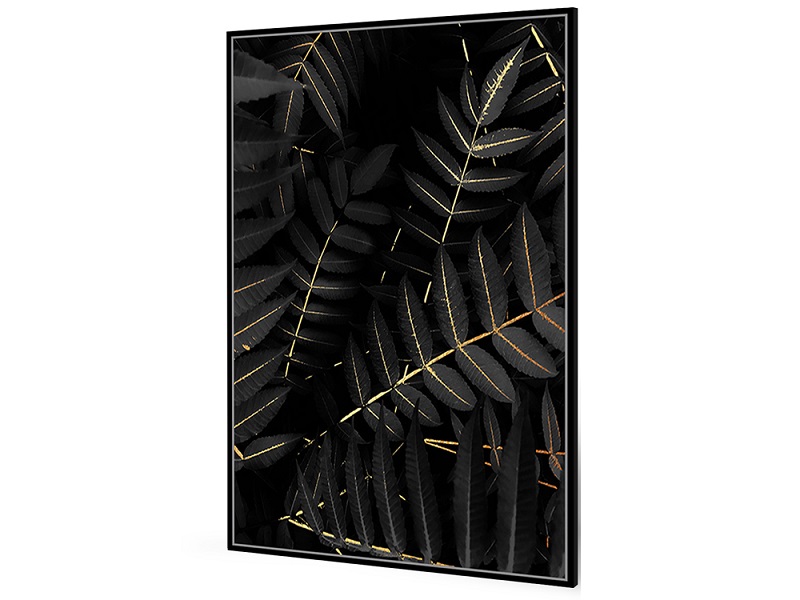 Obraz BLACK LEAVES