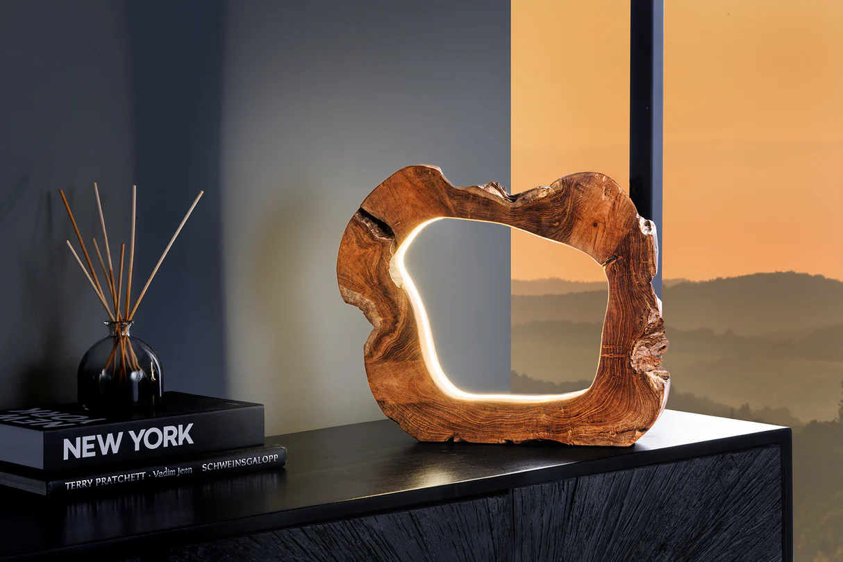 Stolní lampa Phylum Led Light