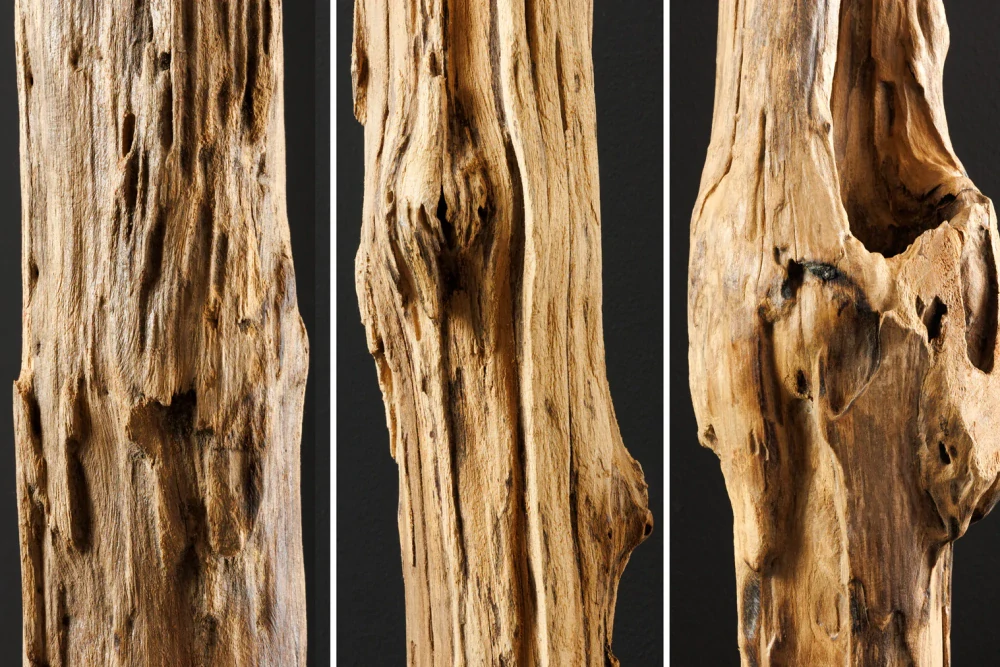 Dekorace REEF DRIFTWOOD