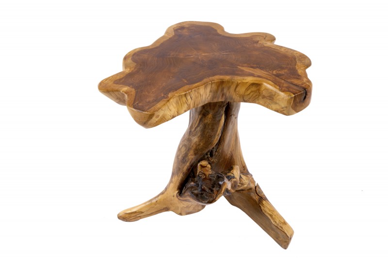 Stolek ROOT NATUR 40