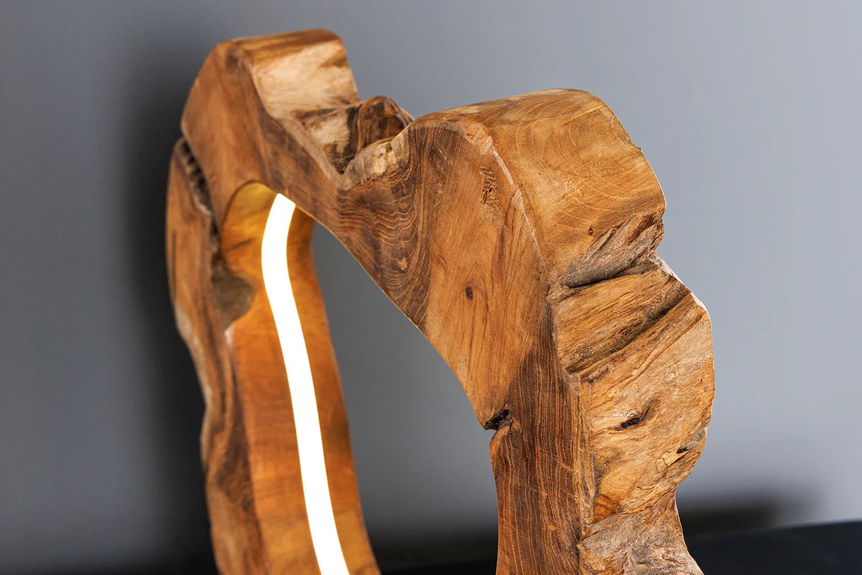 Stolní lampa Phylum Led Light