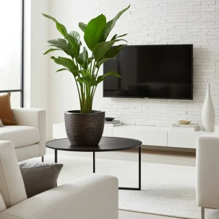 Květináč CRUST II 31