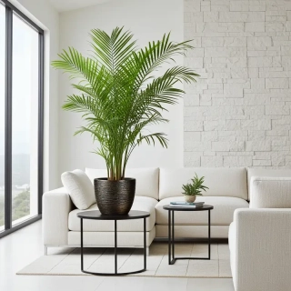 Květináč CRUST II 40